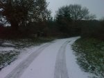 IMAG0083.jpg