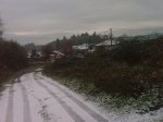 IMAG0085.jpg