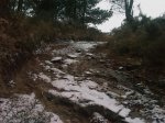 IMAG0086.jpg
