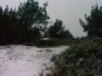 IMAG0087.jpg