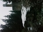 IMAG0088.jpg