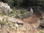 IMG_0202.jpg