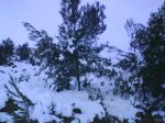 DSC00298.jpg