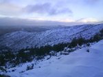 DSC00299.jpg