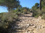 ALICANTE 028 [800x600].jpg