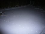 Foto4.JPG