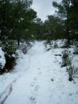 100_4057.jpg