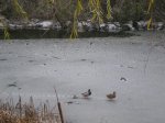 DSCN3629.jpg