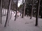 16122009064.jpg