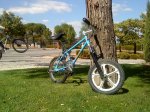 MINIBIKE.jpg