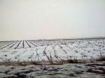 Imagen0068.jpg