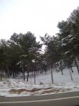 Imagen0079.jpg