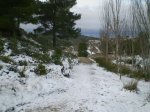 PC040117.JPG
