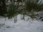 PC040119.JPG