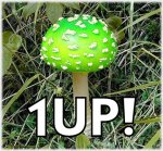 1 up.jpg
