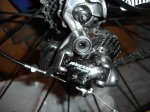 DSC02940.jpg