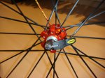 DSC02359.jpg