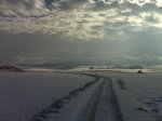 IMG00081.jpg