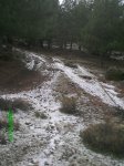 Ruta1.jpg