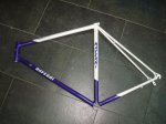 BSM 33 (26).jpg