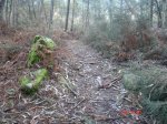 DSC03007.jpg