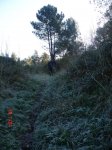 DSC03010.jpg