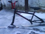 DSC01253.jpg