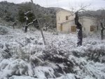 19122009813.jpg