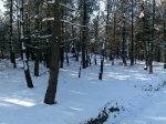 20122009040.jpg