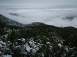 NIEVE4R.jpg