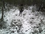 IMG072.jpg