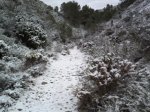 IMG076.jpg