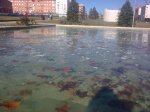 20122009_002.jpg