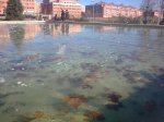 20122009_003.jpg