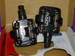 DSC00266.JPG