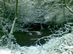 20122009(017).jpg