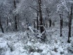 DSC00800.JPG