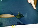 20122009482.jpg