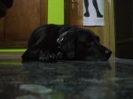 DSCF0412.jpg