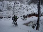DSC00771.JPG