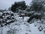 DSC00801.JPG