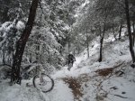 DSC00804.JPG