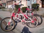 Panther Rabasa Derbi.jpg