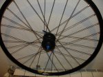 DSC01497.JPG