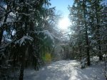 Image_005.JPG