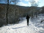 Image_001.JPG