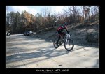 IMG_5044 copia.jpg
