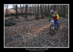 IMG_5402 copia.jpg