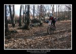 IMG_5484 copia.jpg