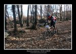 IMG_5485 copia.jpg